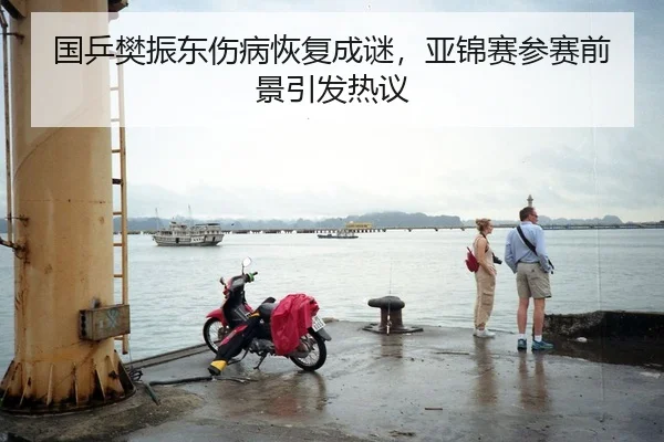 国乒樊振东伤病恢复成谜，亚锦赛参赛前景引发热议