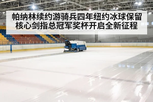hockey rink arena